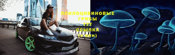 a pvp Аркадак